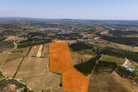 Helårsgrund i Carvalhal, Leiria, Carvalhal - € 620.000 | Ref: BL1092 - foto 16