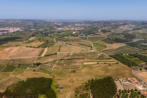 Helårsgrund i Carvalhal, Leiria, Carvalhal - € 620.000 | Ref: BL1092 - foto 17