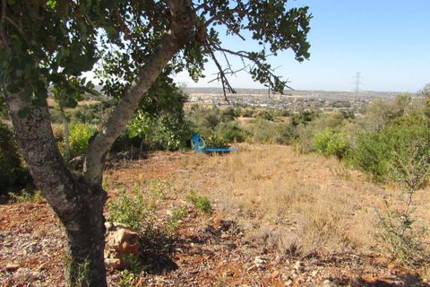 Helårsgrund i Tunes, Faro, Tunes - € 350.000 | Ref: TP409 - foto 3