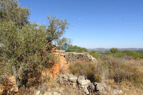 Helårsgrund i Tunes, Faro, Tunes - € 350.000 | Ref: TP409 - foto 5