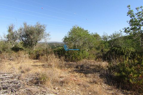 Helårsgrund i Tunes, Faro, Tunes - € 350.000 | Ref: TP409 - foto 6