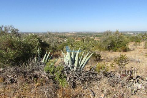 Helårsgrund i Tunes, Faro, Tunes - € 350.000 | Ref: TP409 - foto 8