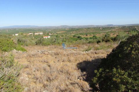 Helårsgrund i Tunes, Faro, Tunes - € 350.000 | Ref: TP409 - foto 9