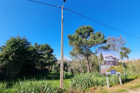 Villa a Carvalhal, Leiria, Carvalhal - € 495.000 | Ref: BL1175 - foto 4
