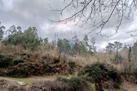 Helårsgrund i Arcos de Valdevez, Viana do Castelo, Arcos de Valdevez - € 10.000 | Ref: 1101-1 - foto 1
