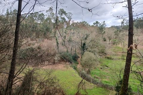 Helårsgrund i Arcos de Valdevez, Viana do Castelo, Arcos de Valdevez - € 10.000 | Ref: 1101-1 - foto 2
