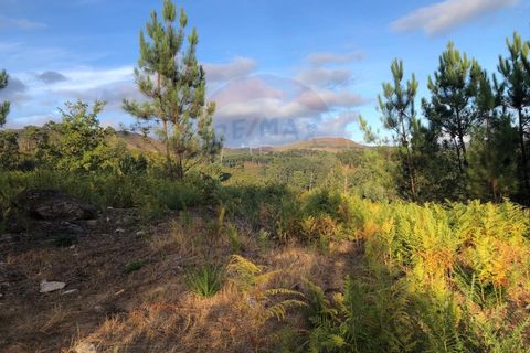 Helårsgrund i Amares, Braga, Amares - € 36.500 | Ref: 126371012-191 - foto 1