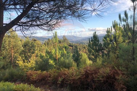Helårsgrund i Amares, Braga, Amares - € 36.500 | Ref: 126371012-191 - foto 8