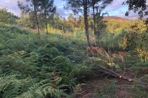 Helårsgrund i Amares, Braga, Amares - € 36.500 | Ref: 126371012-191 - foto 11