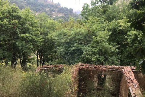 Villa i Arcos de Valdevez, Viana do Castelo, Arcos de Valdevez - € 55.000 | Ref: 126371008-5 - foto 6