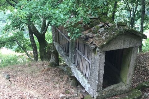 Villa i Arcos de Valdevez, Viana do Castelo, Arcos de Valdevez - € 55.000 | Ref: 126371008-5 - foto 7