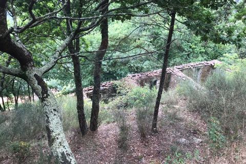 Villa i Arcos de Valdevez, Viana do Castelo, Arcos de Valdevez - € 55.000 | Ref: 126371008-5 - foto 10
