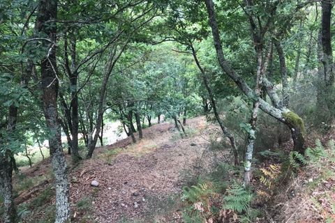 Villa i Arcos de Valdevez, Viana do Castelo, Arcos de Valdevez - € 55.000 | Ref: 126371008-5 - foto 12