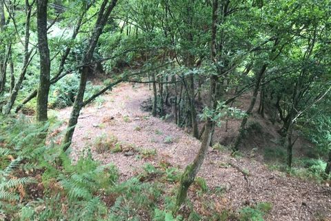 Villa i Arcos de Valdevez, Viana do Castelo, Arcos de Valdevez - € 55.000 | Ref: 126371008-5 - foto 18