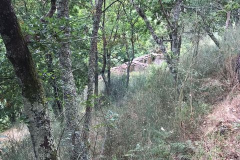 Villa i Arcos de Valdevez, Viana do Castelo, Arcos de Valdevez - € 55.000 | Ref: 126371008-5 - foto 19