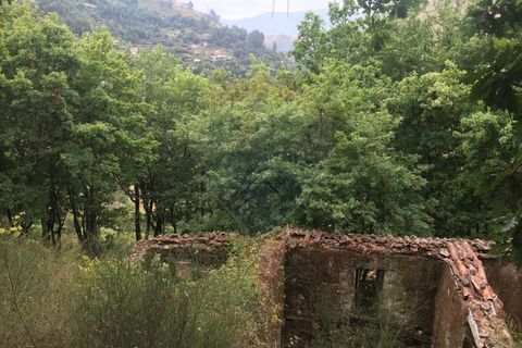 Villa i Arcos de Valdevez, Viana do Castelo, Arcos de Valdevez - € 55.000 | Ref: 126371008-5 - foto 20