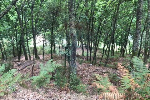 Villa i Arcos de Valdevez, Viana do Castelo, Arcos de Valdevez - € 55.000 | Ref: 126371008-5 - foto 21