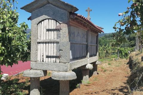 Farm i Amares, Braga, Amares - € 539.000 | Ref: 1094-3 - foto 18
