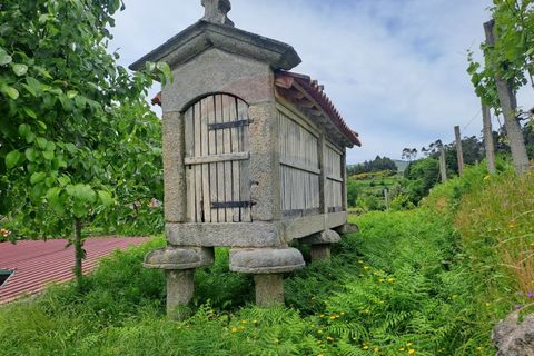 Farm i Amares, Braga, Amares - € 539.000 | Ref: 1094-3 - foto 47