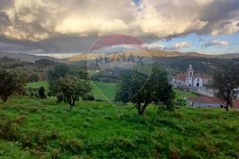 Helårsgrund i Arcos de Valdevez, Viana do Castelo, Arcos de Valdevez - € 26.500 | Ref: 1040-182 - foto 10