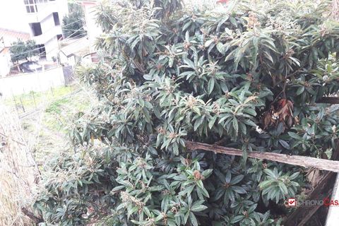 Landejendom i Messina, Messina, Messina - € 25.000 | Ref: 2VS202 - foto 13