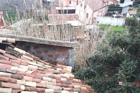Landejendom i Messina, Messina, Messina - € 25.000 | Ref: 2VS202 - foto 14