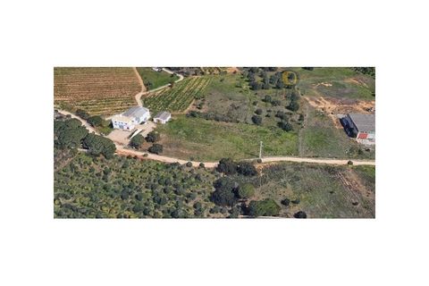 Erhvervsejendom i Almancil, Faro, Almancil - € 1.195.000 | Ref: MAG_13801 - foto 2