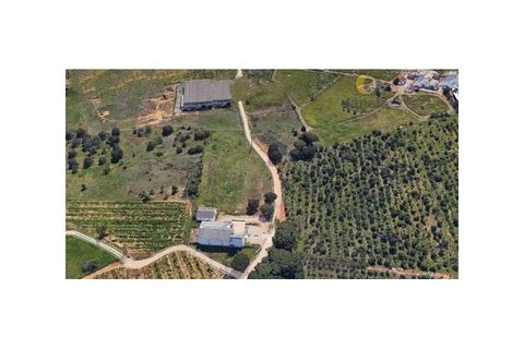 Erhvervsejendom i Almancil, Faro, Almancil - € 1.195.000 | Ref: MAG_13801 - foto 3