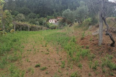 Helårsgrund i Arcos de Valdevez, Viana do Castelo, Arcos de Valdevez - € 22.000 | Ref: 1094-4 - foto 4