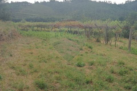 Helårsgrund i Arcos de Valdevez, Viana do Castelo, Arcos de Valdevez - € 22.000 | Ref: 1094-4 - foto 5