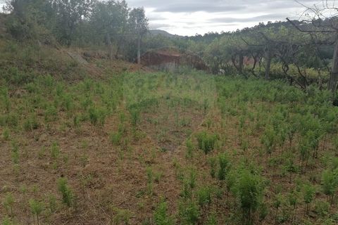 Helårsgrund i Arcos de Valdevez, Viana do Castelo, Arcos de Valdevez - € 22.000 | Ref: 1094-4 - foto 6