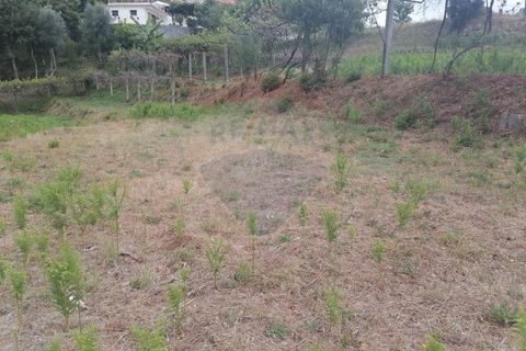 Helårsgrund i Arcos de Valdevez, Viana do Castelo, Arcos de Valdevez - € 22.000 | Ref: 1094-4 - foto 7