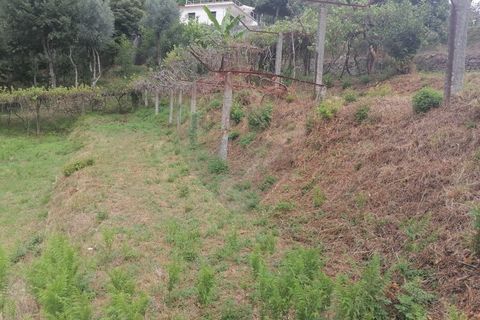 Helårsgrund i Arcos de Valdevez, Viana do Castelo, Arcos de Valdevez - € 22.000 | Ref: 1094-4 - foto 8