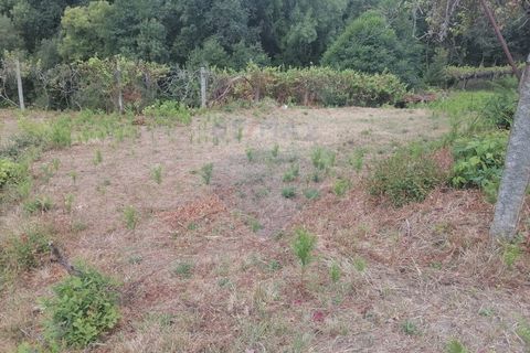 Helårsgrund i Arcos de Valdevez, Viana do Castelo, Arcos de Valdevez - € 22.000 | Ref: 1094-4 - foto 10