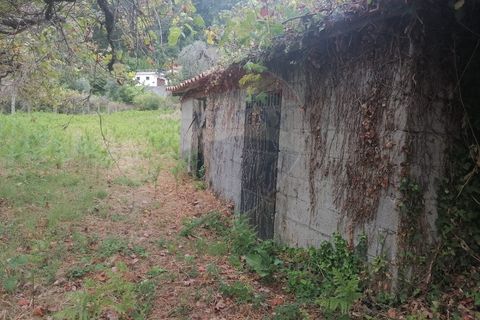 Helårsgrund i Arcos de Valdevez, Viana do Castelo, Arcos de Valdevez - € 22.000 | Ref: 1094-4 - foto 11