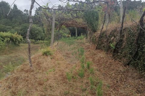 Helårsgrund i Arcos de Valdevez, Viana do Castelo, Arcos de Valdevez - € 22.000 | Ref: 1094-4 - foto 12