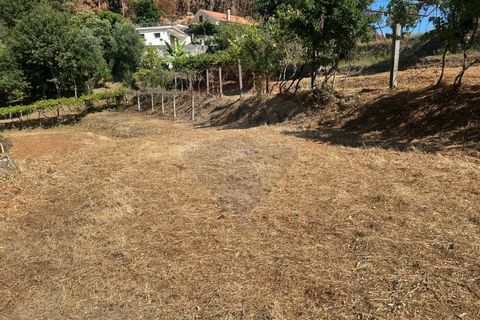 Helårsgrund i Arcos de Valdevez, Viana do Castelo, Arcos de Valdevez - € 22.000 | Ref: 1094-4 - foto 2