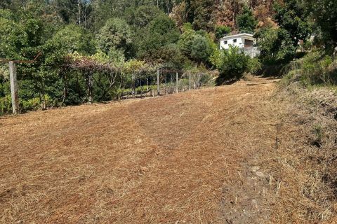Helårsgrund i Arcos de Valdevez, Viana do Castelo, Arcos de Valdevez - € 22.000 | Ref: 1094-4 - foto 13