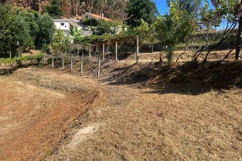 Helårsgrund i Arcos de Valdevez, Viana do Castelo, Arcos de Valdevez - € 22.000 | Ref: 1094-4 - foto 14