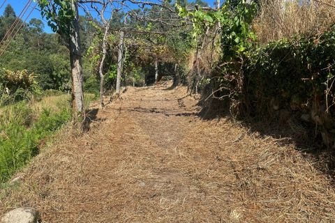 Helårsgrund i Arcos de Valdevez, Viana do Castelo, Arcos de Valdevez - € 22.000 | Ref: 1094-4 - foto 15