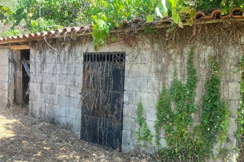 Helårsgrund i Arcos de Valdevez, Viana do Castelo, Arcos de Valdevez - € 22.000 | Ref: 1094-4 - foto 16