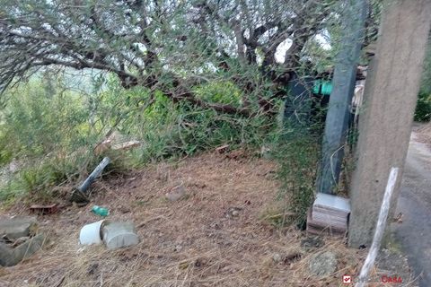 Helårsgrund i Messina, Messina, Messina - € 26.000 | Ref: BGA-8325 - foto 2