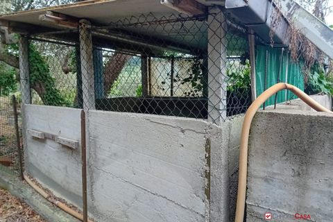 Helårsgrund i Messina, Messina, Messina - € 26.000 | Ref: BGA-8325 - foto 6