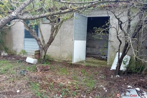 Helårsgrund i Messina, Messina, Messina - € 26.000 | Ref: BGA-8325 - foto 10