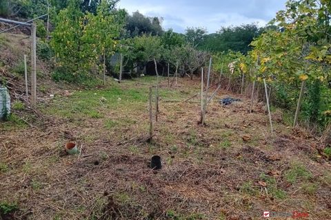 Helårsgrund i Messina, Messina, Messina - € 26.000 | Ref: BGA-8325 - foto 11
