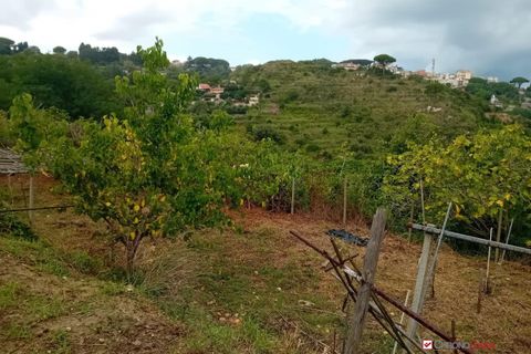 Helårsgrund i Messina, Messina, Messina - € 26.000 | Ref: BGA-8325 - foto 12