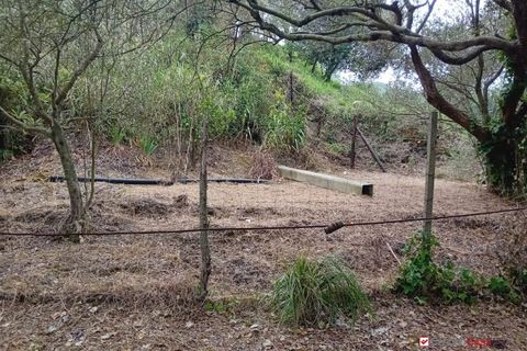 Helårsgrund i Messina, Messina, Messina - € 26.000 | Ref: BGA-8325 - foto 13