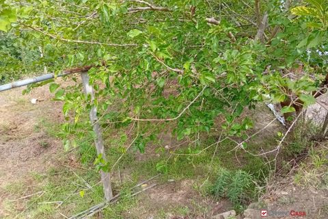 Helårsgrund i Messina, Messina, Messina - € 26.000 | Ref: BGA-8325 - foto 15