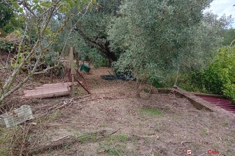 Helårsgrund i Messina, Messina, Messina - € 26.000 | Ref: BGA-8325 - foto 16