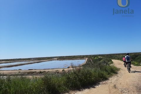 Farm i Olhao, Faro, Olhao - € 1.200.000 | Ref: QTA3750 - foto 2